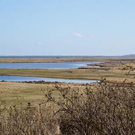 Boddenblick - Auf Hiddensee In * Grieben