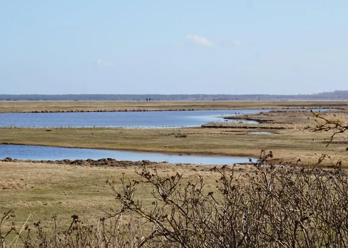 Boddenblick - Auf Hiddensee In * Grieben